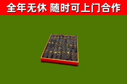 浏阳回收海参